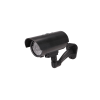 Vestibulum ante ipsum primis - Image 4